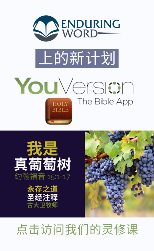 YouVersion John 15 Enduring Word Chinese